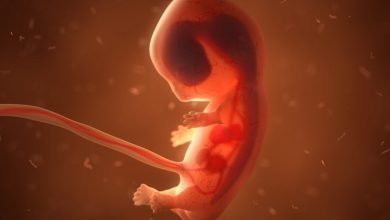 أثر الإجهاض على الصوم