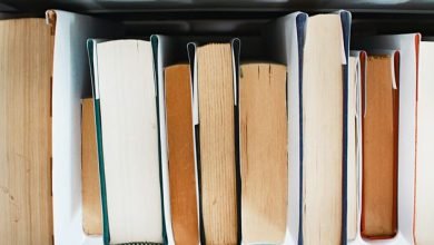 علوم الدين وعلوم الدنيا