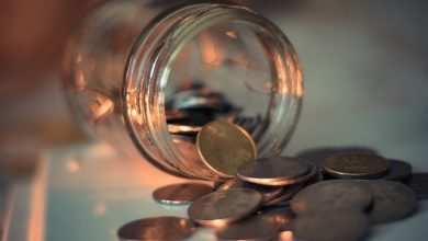 جمع وتوزيع الزكاة محليًا وضوابطها